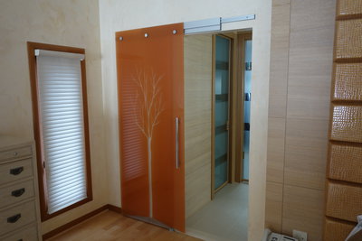 Barn style glass sliding doors with telescopic track