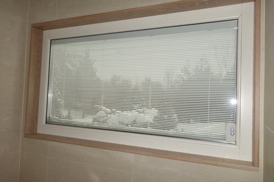 Magnetic shade control for single window