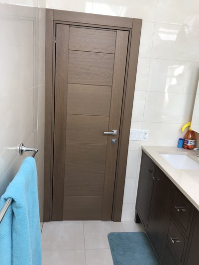Modern bath door