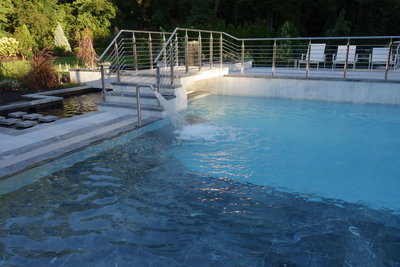 Stainless Steel COBRA by the pool