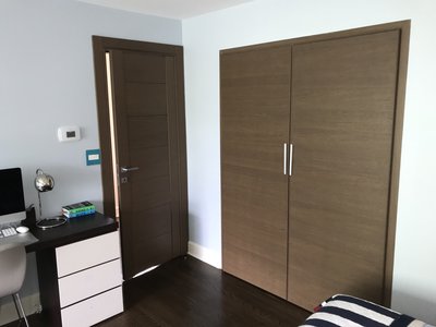 Modern closet door